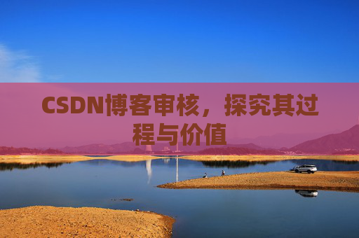 CSDN博客审核，探究其过程与价值